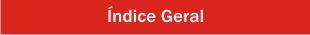 INDICE GERAL